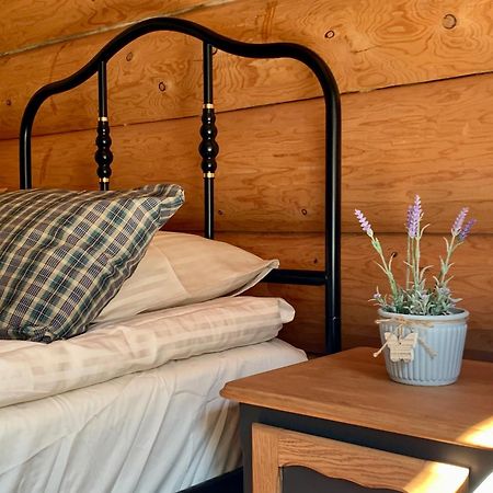 Kasepuu Holiday House Uulu 외부 사진